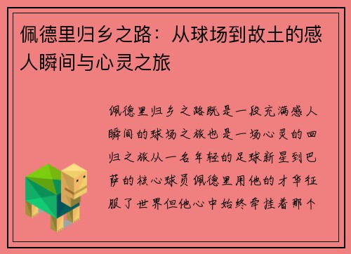 佩德里归乡之路：从球场到故土的感人瞬间与心灵之旅