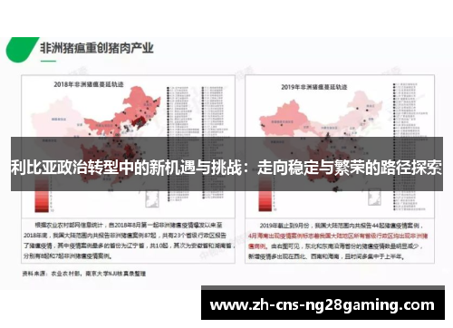 利比亚政治转型中的新机遇与挑战：走向稳定与繁荣的路径探索