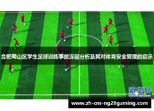 合肥蜀山区学生足球训练事故深层分析及其对体育安全管理的启示