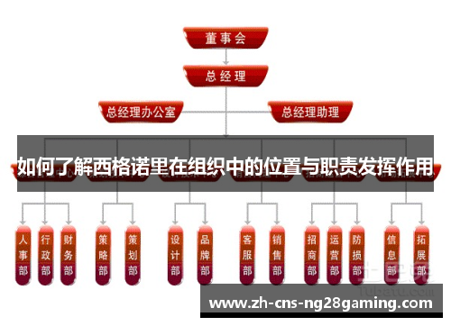 如何了解西格诺里在组织中的位置与职责发挥作用
