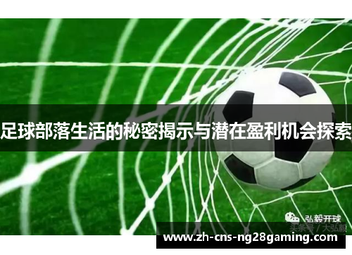 足球部落生活的秘密揭示与潜在盈利机会探索