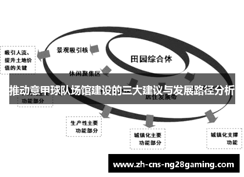 推动意甲球队场馆建设的三大建议与发展路径分析
