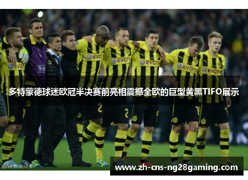 多特蒙德球迷欧冠半决赛前亮相震撼全欧的巨型黄黑TIFO展示