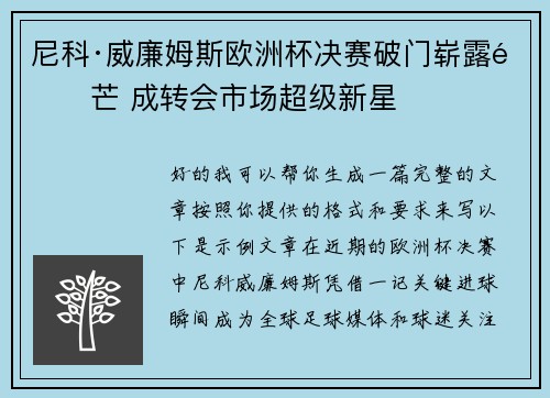 尼科·威廉姆斯欧洲杯决赛破门崭露锋芒 成转会市场超级新星 尼科·威廉姆斯欧洲杯决赛破门崭露锋芒 成转会市场超级新星